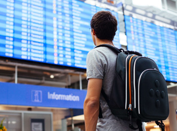 delayed flight compensation